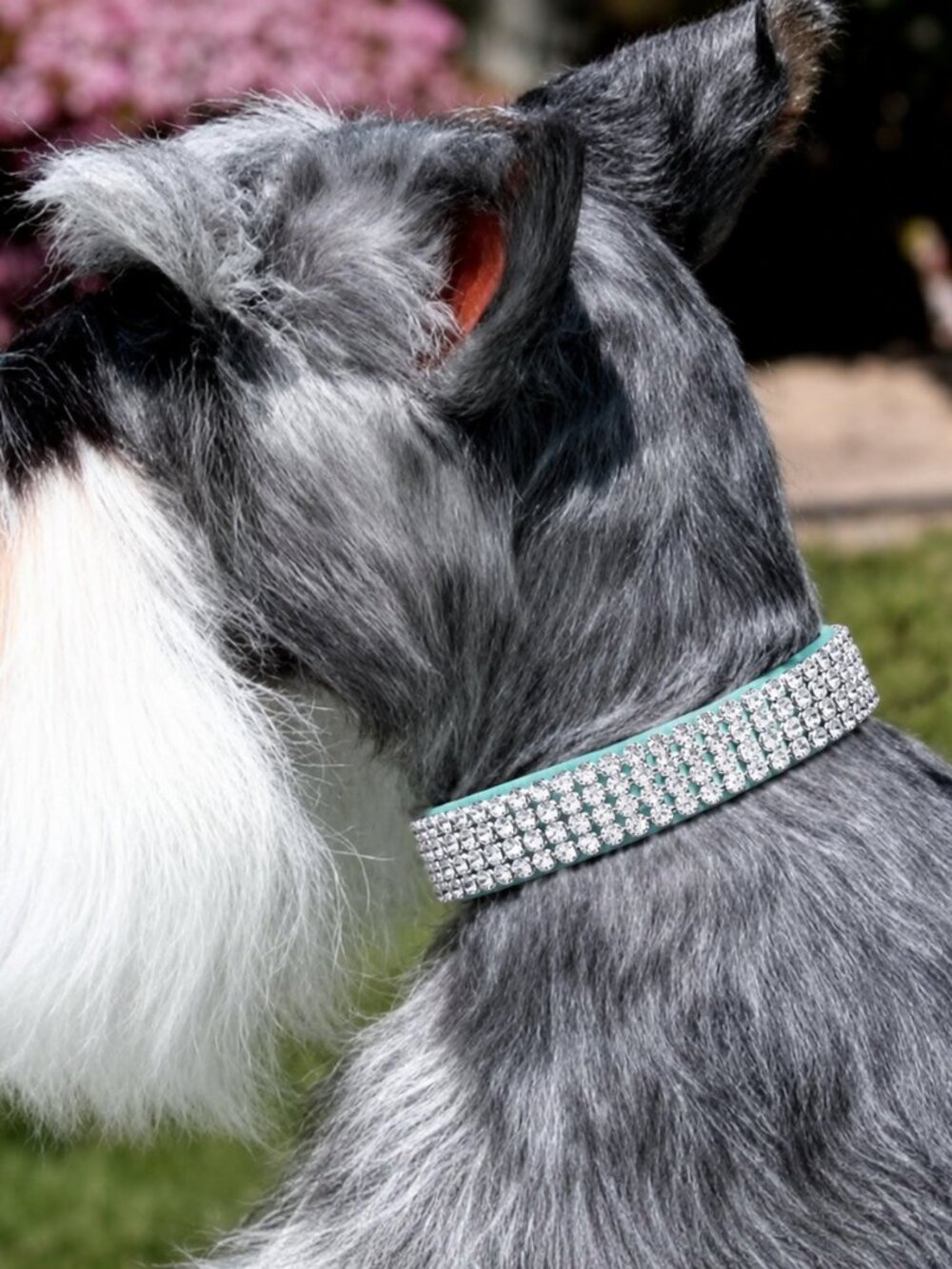Tiffi Blue 4-Row Swarovski Crystal Ultrasuede 1/2" Dog Collar Size Medium